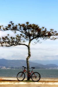 paisaje
